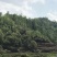 文山广南县800亩荒山出租