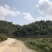 文山广南县800亩荒山出租