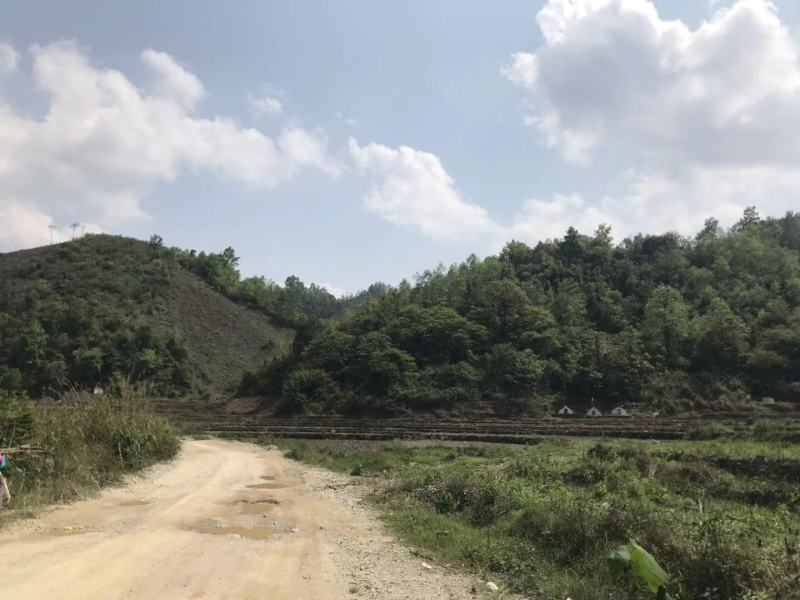 文山广南县800亩荒山出租