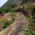 文山广南县800亩荒山出租