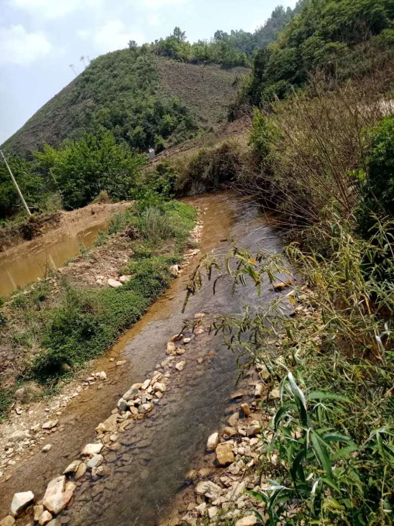 文山广南县800亩荒山出租