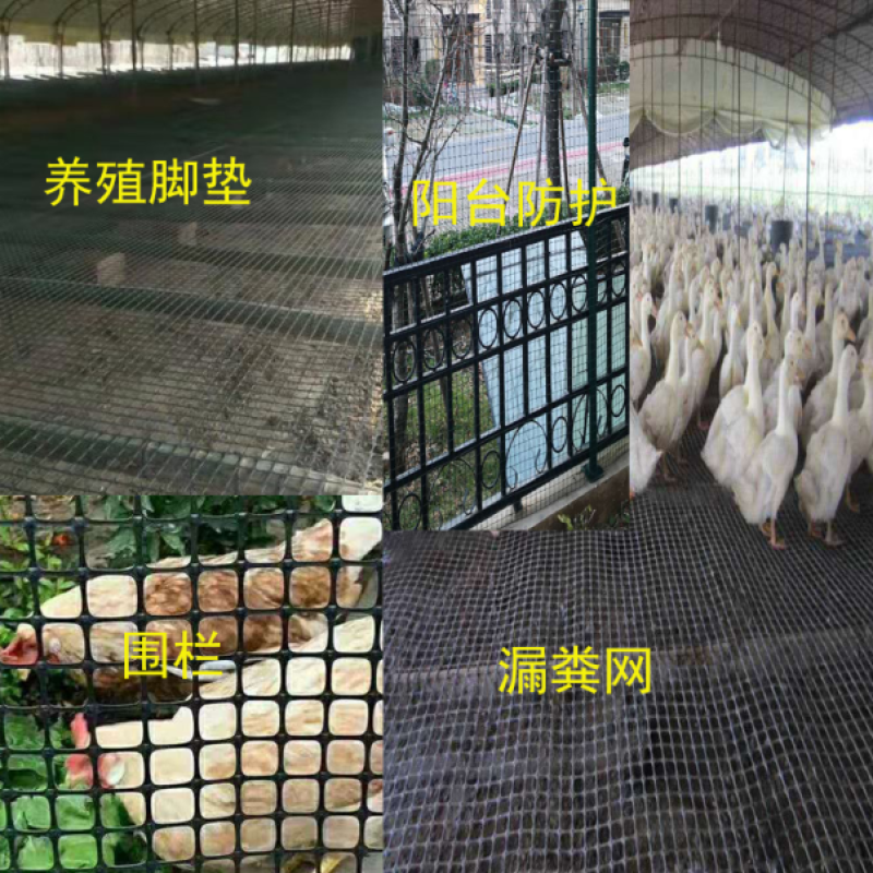 【精品】养殖鸡鸭鹅育雏网塑料网漏粪网脚垫养专供源头厂家