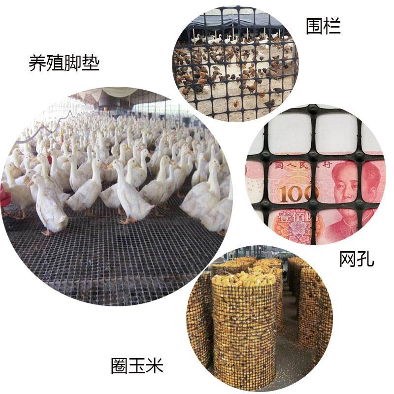 【精品】养殖鸡鸭鹅育雏网塑料网漏粪网脚垫养专供源头厂家