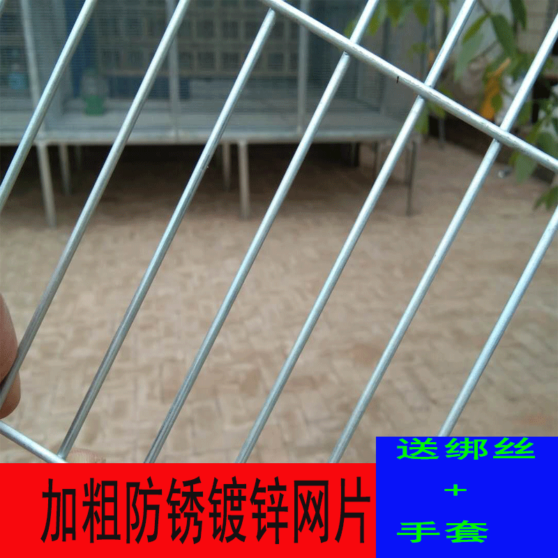 鸽笼网舍兔笼鸡笼子防鼠蛇镀锌网片加粗防护网养殖网厂家直销