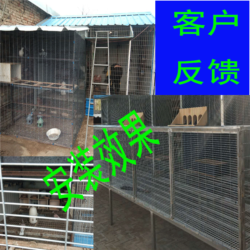 鸽笼网舍兔笼鸡笼子防鼠蛇镀锌网片加粗防护网养殖网厂家直销