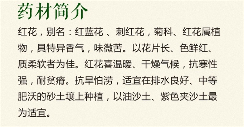 红花种子优质草红花籽新疆刺红花子干净无杂质包发芽