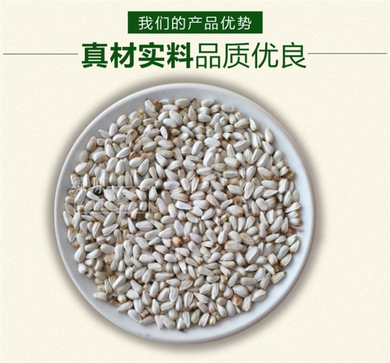 红花种子优质草红花籽新疆刺红花子干净无杂质包发芽
