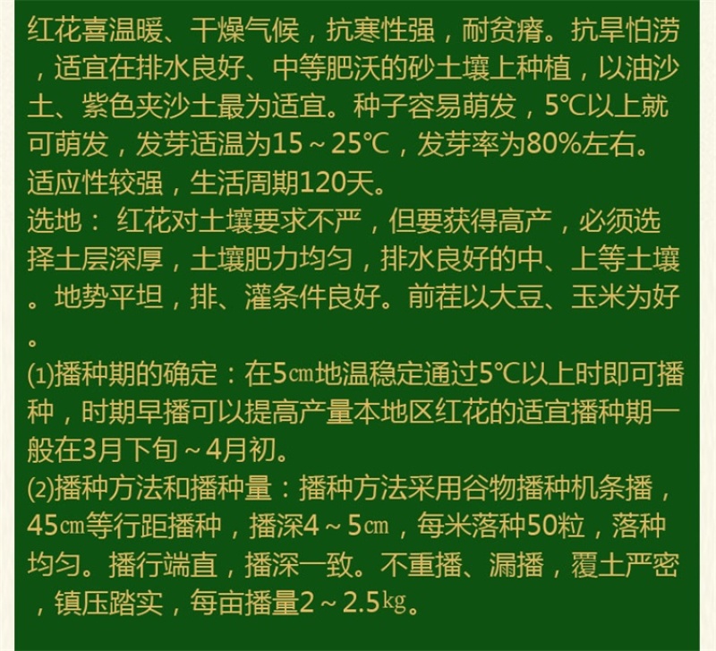 红花种子优质草红花籽新疆刺红花子干净无杂质包发芽