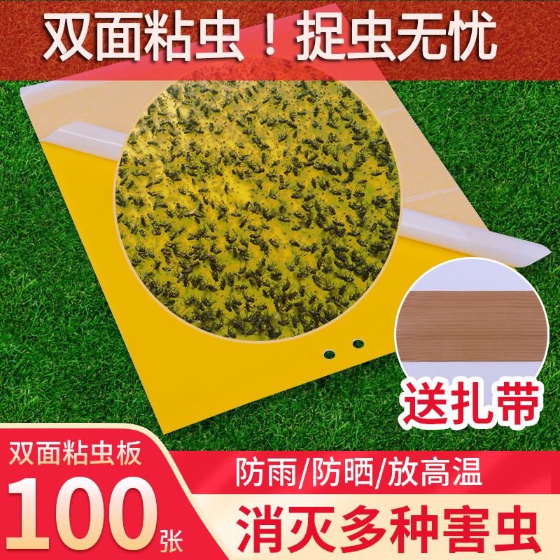 厂家直销！粘虫板诱虫板黄蓝板
