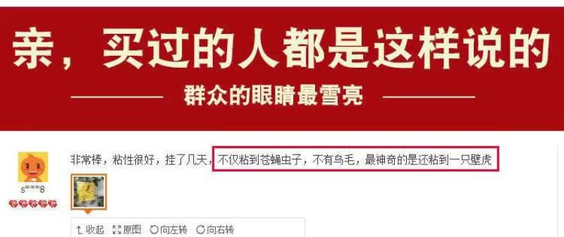 厂家直销！粘虫板诱虫板黄蓝板