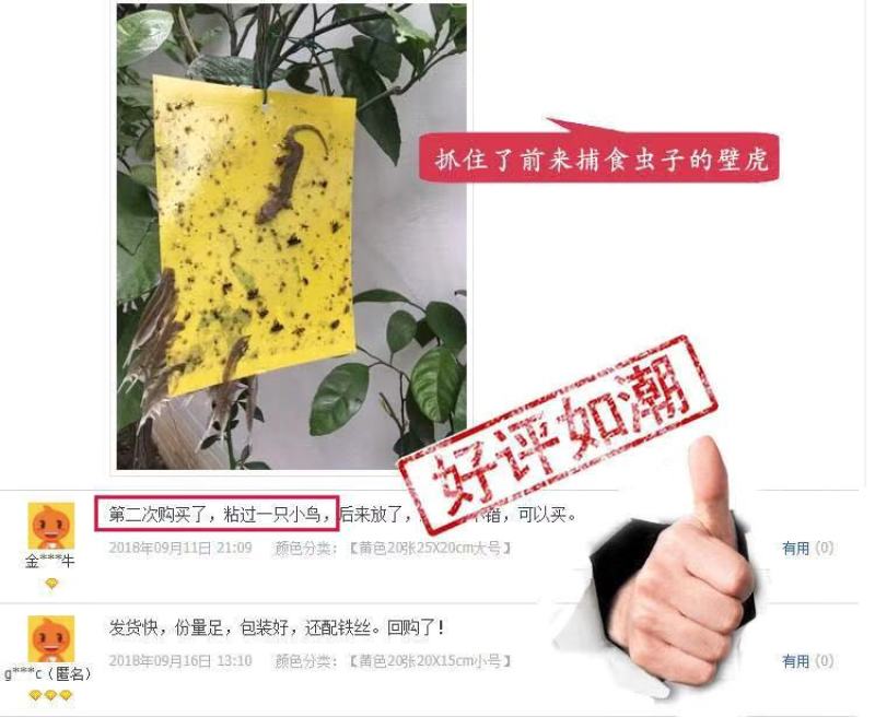 厂家直销！粘虫板诱虫板黄蓝板