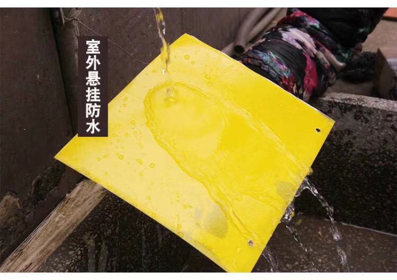 厂家直销！粘虫板诱虫板黄蓝板