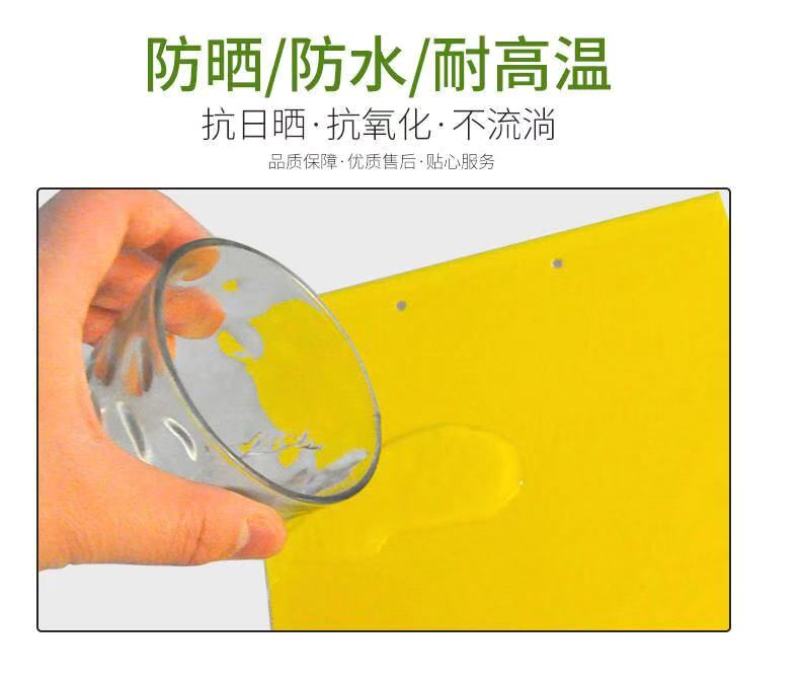 厂家直销！粘虫板诱虫板黄蓝板