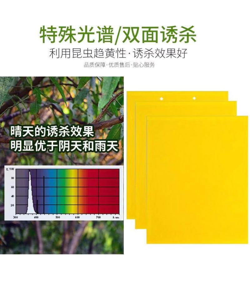 厂家直销！粘虫板诱虫板黄蓝板
