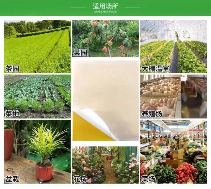 厂家直销！粘虫板诱虫板黄蓝板