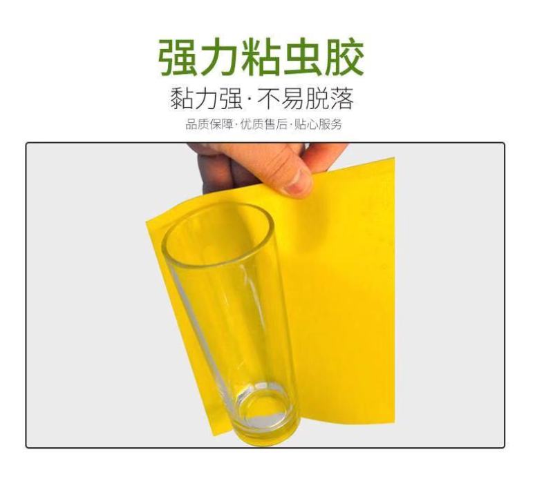 厂家直销！粘虫板诱虫板黄蓝板