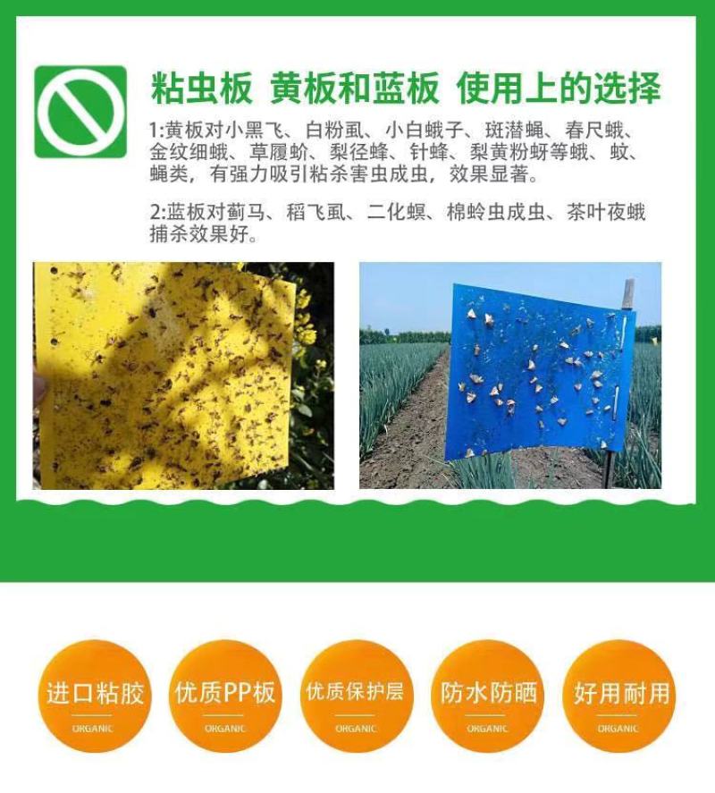 厂家直销！粘虫板诱虫板黄蓝板