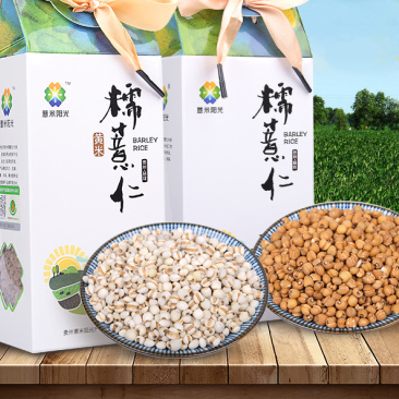 糯薏仁黄米薏仁米薏米薏米仁薏米阳光