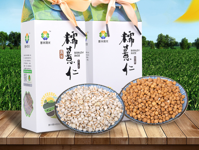 糯薏仁黄米薏仁米薏米薏米仁薏米阳光