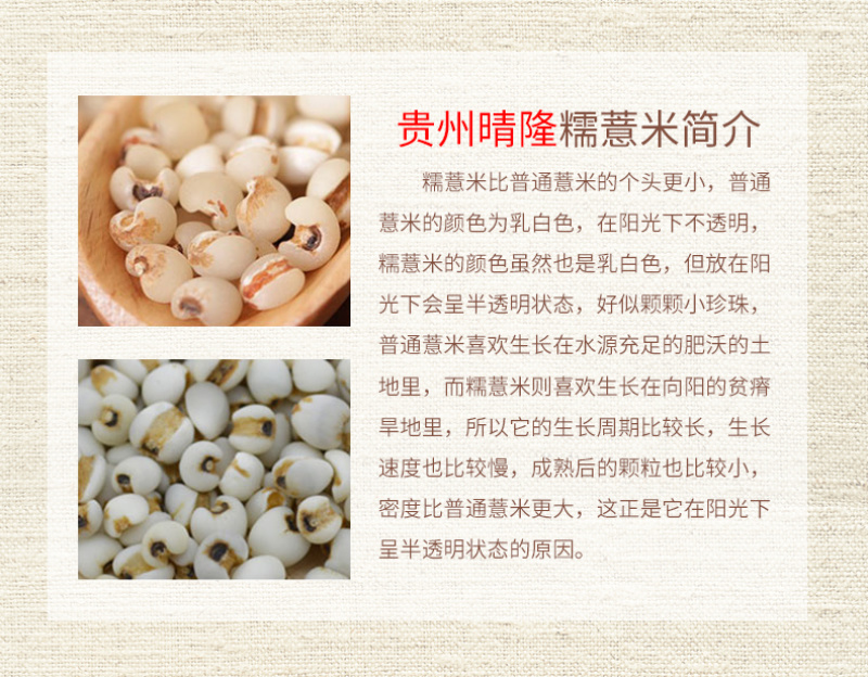 糯薏仁黄米薏仁米薏米薏米仁薏米阳光