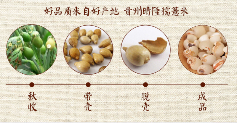 糯薏仁黄米薏仁米薏米薏米仁薏米阳光