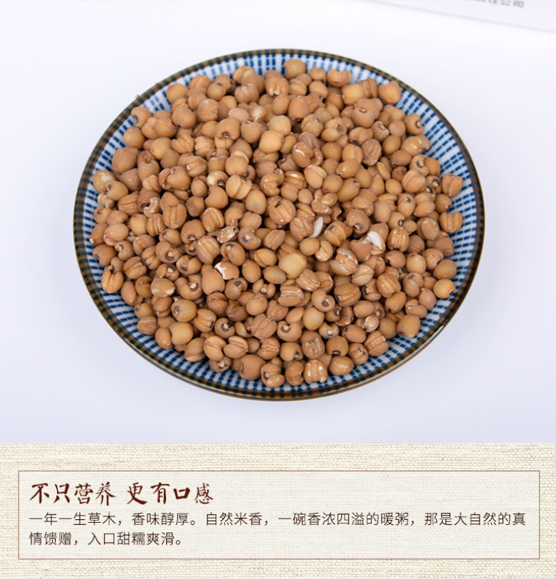 糯薏仁黄米薏仁米薏米薏米仁薏米阳光