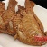 新鲜兔架兔排兔子肉分割品