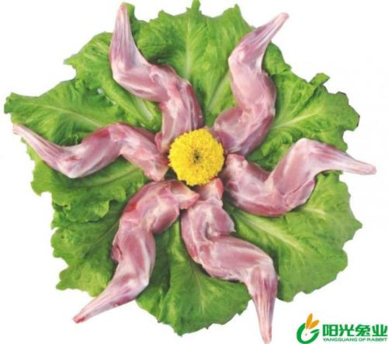 新鲜兔前腿生兔肉当天兔肉新鲜分割兔前腿