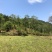 文山文山市新街乡2000亩香蕉种植地出租合作