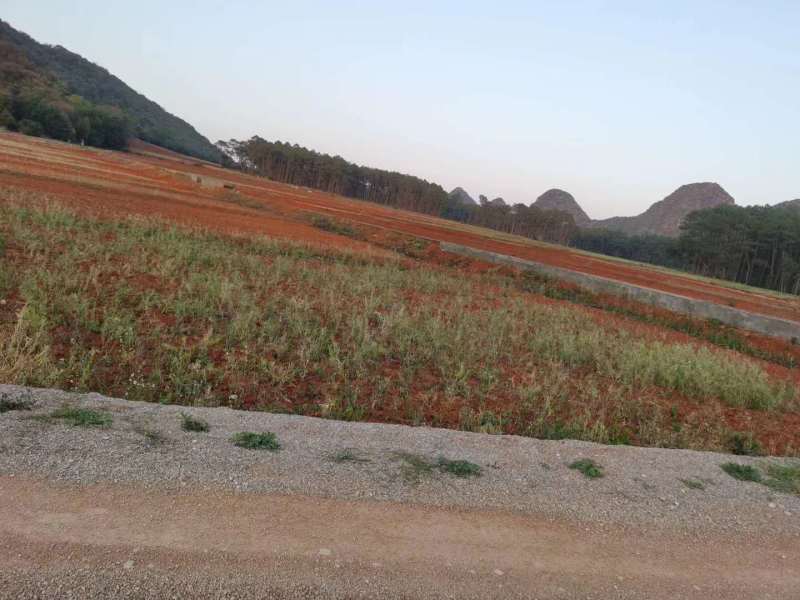 文山丘北县1800亩水浇地出租