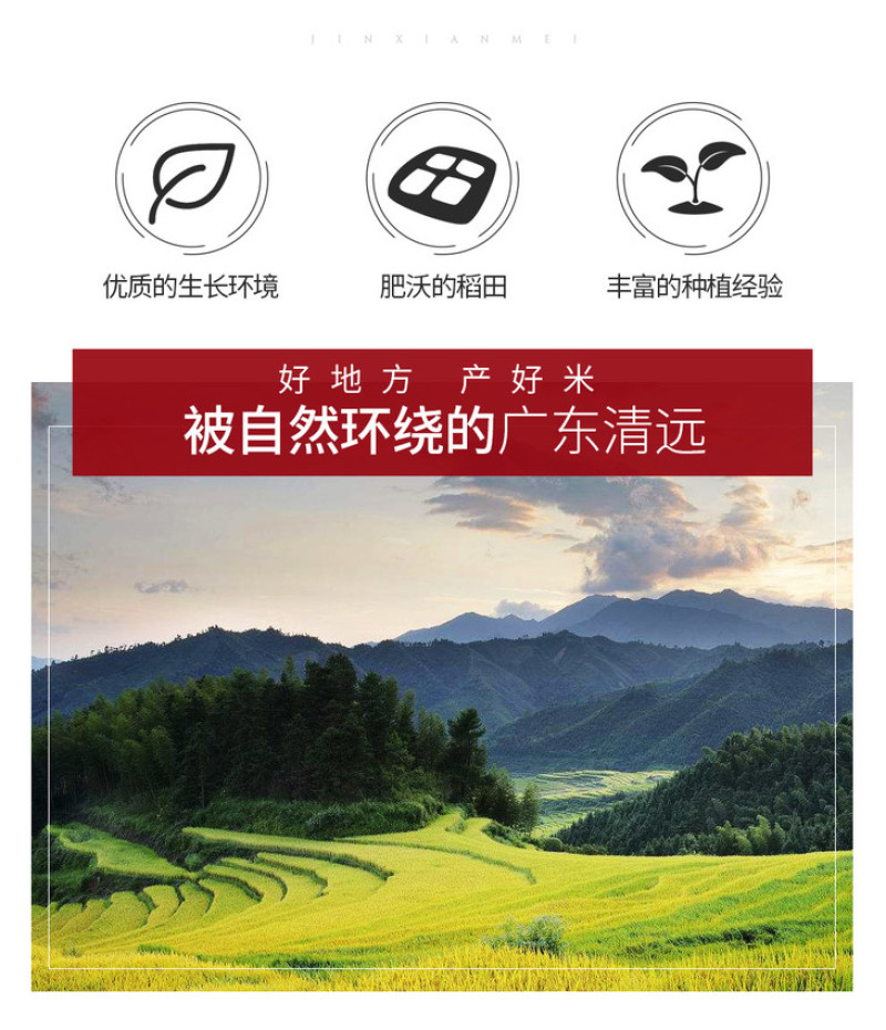 【电商扶贫】金鲜美精品油粘米广东省内包邮