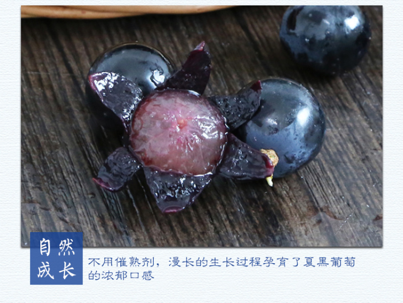 云南夏黑葡萄新鲜当季水果无籽黑提应季提子黑加仑6斤
