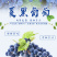 无籽黑提云南夏黑葡萄新鲜当季水果应季提子黑加仑4斤