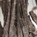 四川特产牛肉干风干牛肉干内蒙古牦牛手撕牛肉干