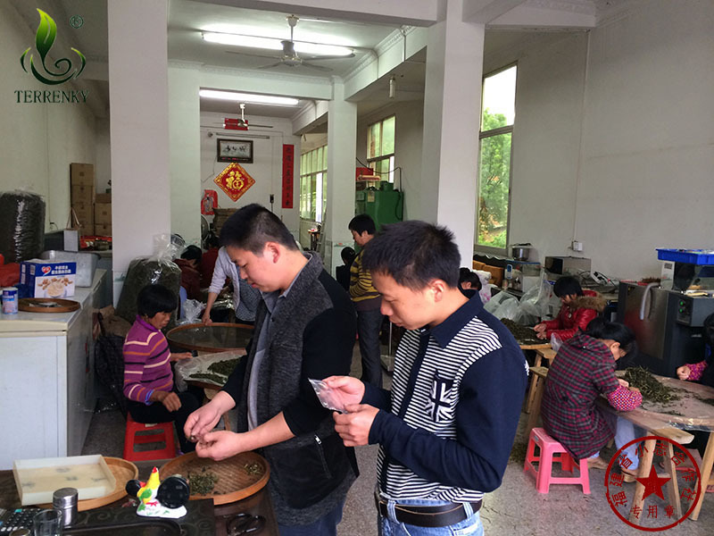 福建安溪浓香型铁观音批发新茶散装福建茶叶合作社