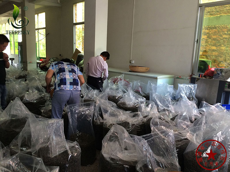 福建安溪浓香型铁观音批发新茶散装福建茶叶合作社