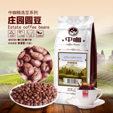 隆阳乡耕中咖高海拔阿拉比卡庄园圆豆454g