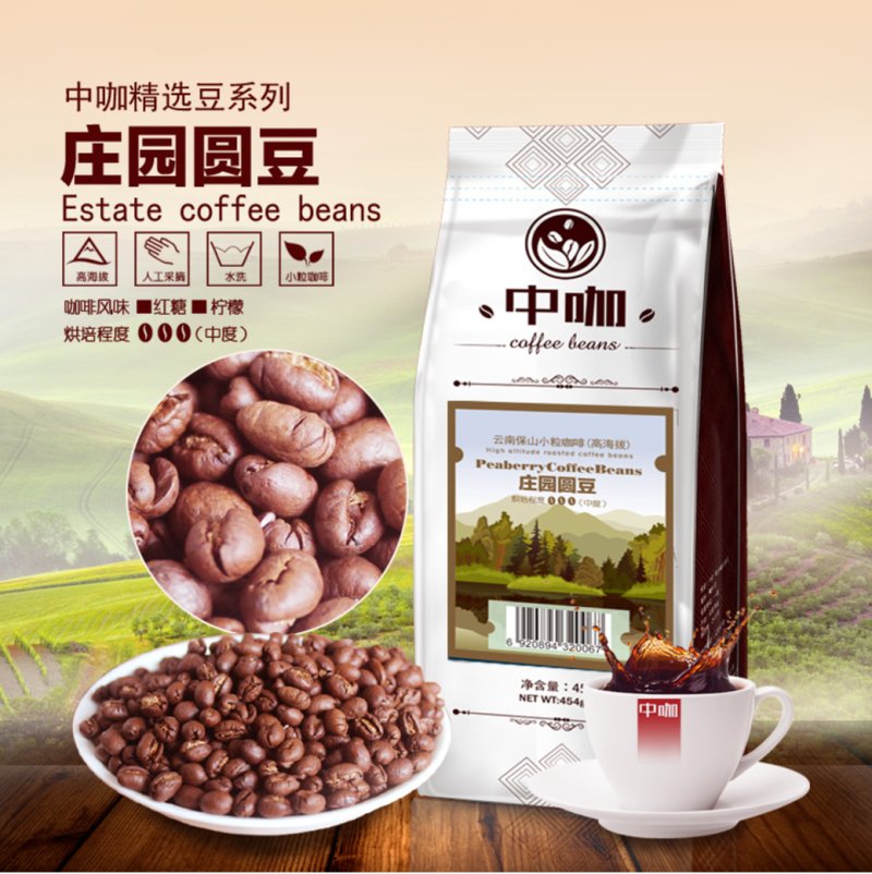 隆阳乡耕中咖高海拔阿拉比卡庄园圆豆454g