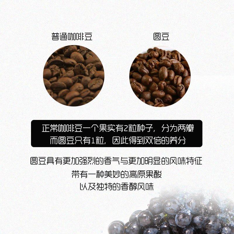 隆阳乡耕中咖高海拔阿拉比卡庄园圆豆454g