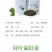 隆阳乡耕桑叶茶袋装178g