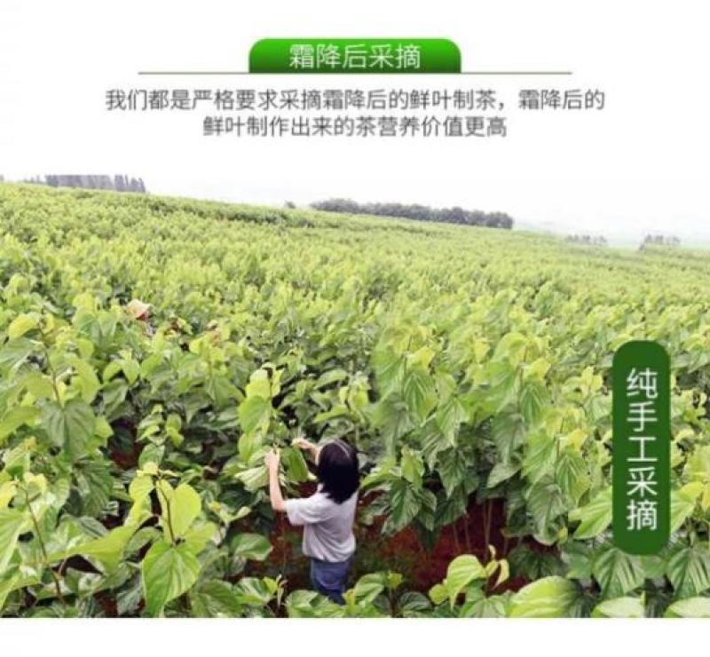 隆阳乡耕桑叶茶袋装178g