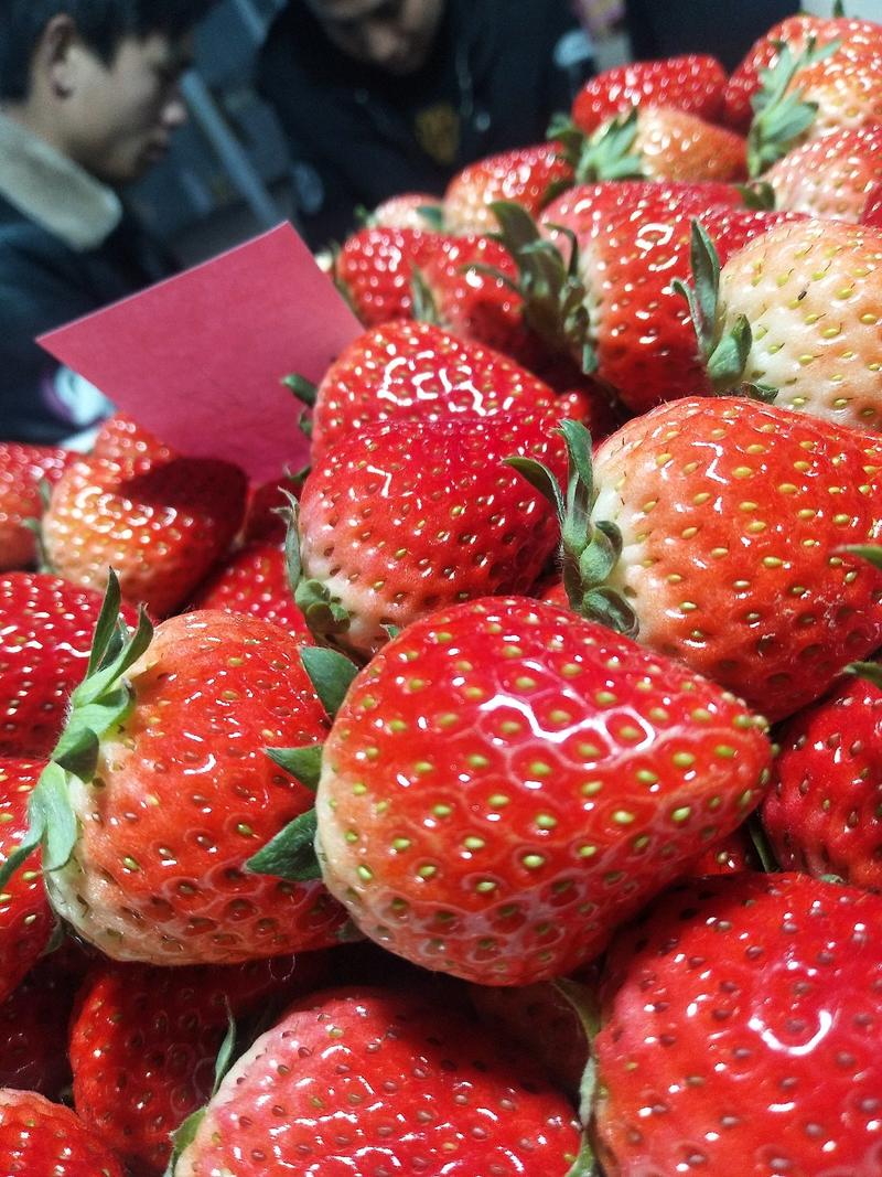 15年代办种植经验奶油草莓代办，欢迎批发商、电商前来