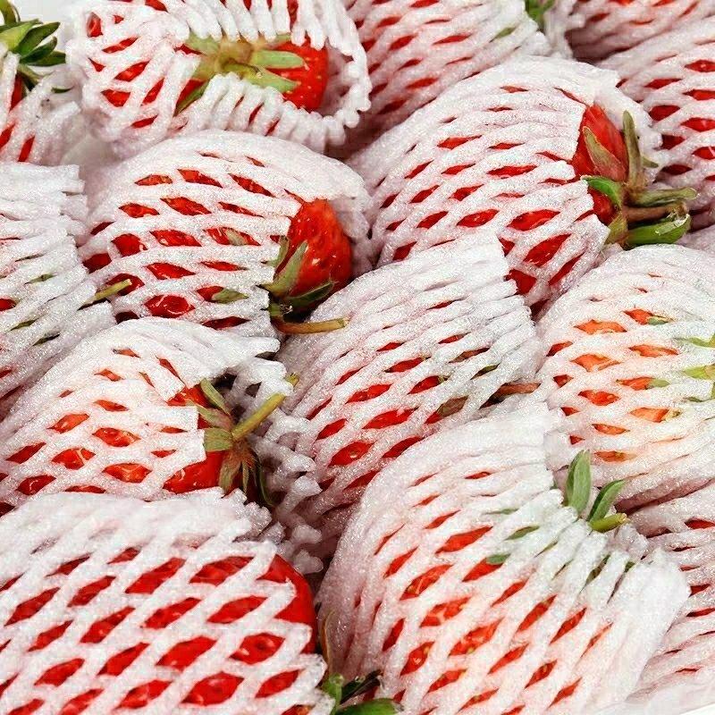 巧克力奶油草莓，天仙醉，产地直销品质保证，大量上市