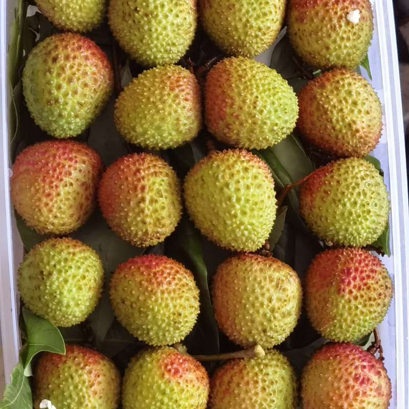 妃子笑荔枝