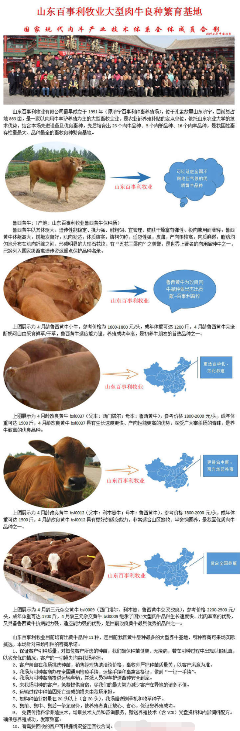 山东德州驴苗现场挑选，签定合同，运输到家，货到付款