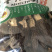 羊肚菌干货1斤羊肚菇羊肚蘑饭店餐厅火锅食材