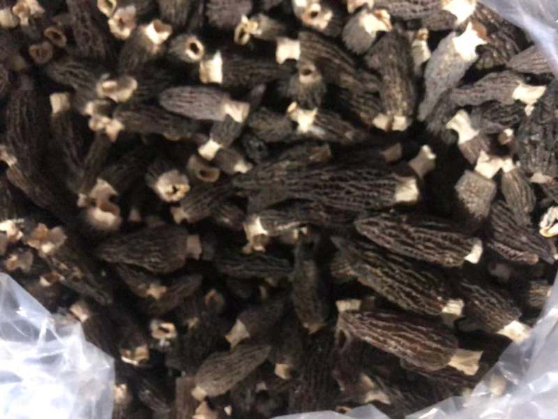 羊肚菌干货1斤羊肚菇羊肚蘑饭店餐厅火锅食材