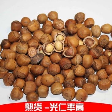 新货东北野生小榛子特产薄皮原味坚果炒熟干果零食500g
