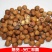 新货东北野生小榛子特产薄皮原味坚果炒熟干果零食500g