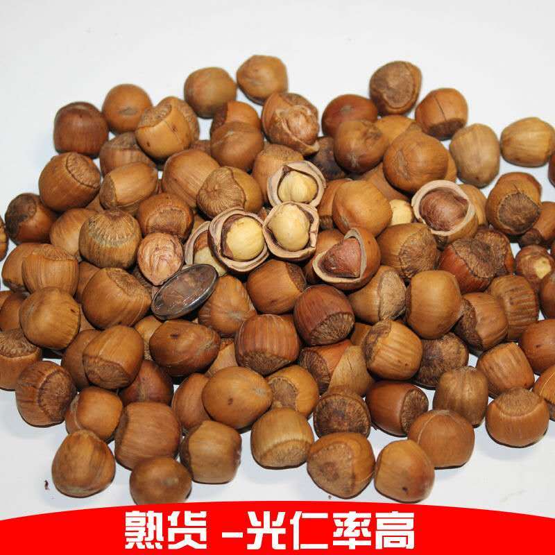 新货东北野生小榛子特产薄皮原味坚果炒熟干果零食500g